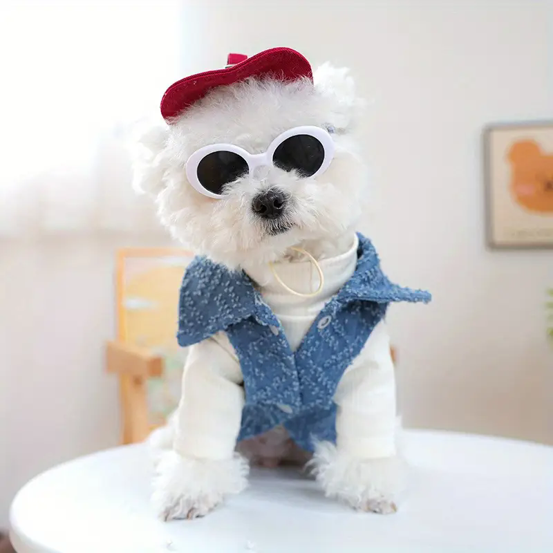 Street Fashion Shoot - Dog fashion baseball cap with sunglasses