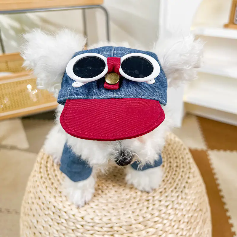 Dog fashion baseball cap with  - Street Fashion Shoot reseña y precio
