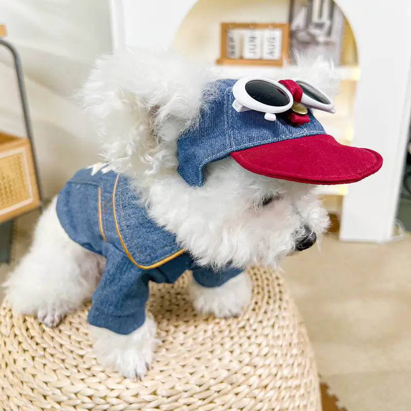 Dog fashion baseball cap with  - Street Fashion Shoot reseña y precio