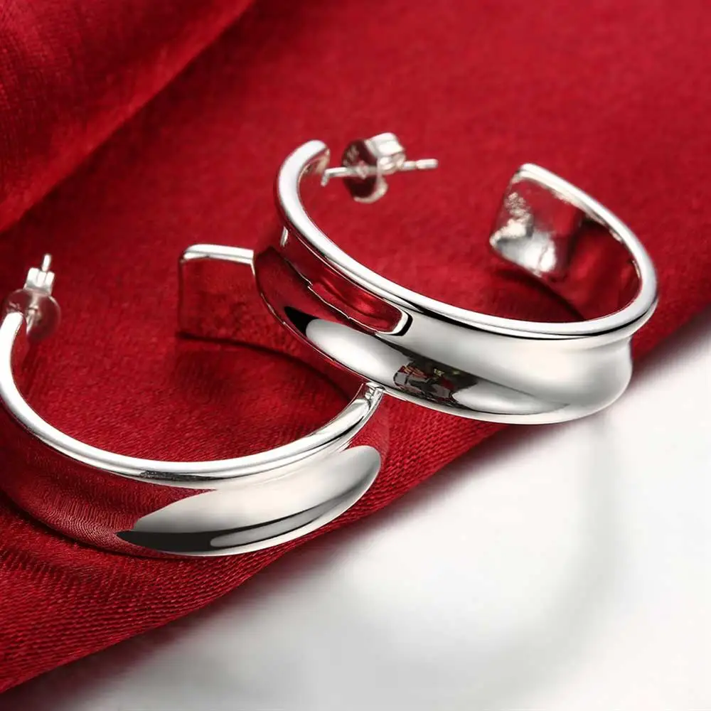 925 Sterling Silver Beautiful  - Street Fashion Earrings reseña y precio