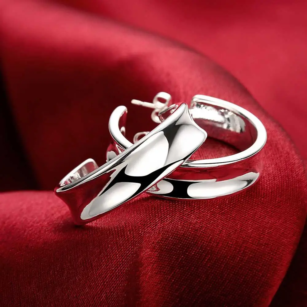 925 Sterling Silver Beautiful  - Street Fashion Earrings reseña y precio